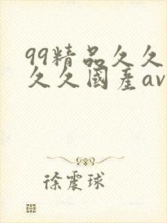 99精品久久久久久国产av蜜臀封面