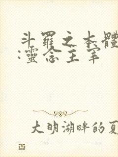 斗罗之本体武魂:灵念主宰封面