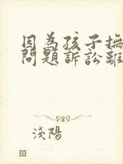 因为孩子抚养权问题诉讼离婚怎么弄封面