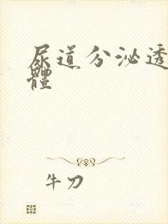 尿道分泌透明液体