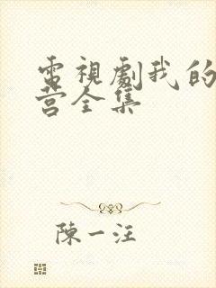 电视剧我的特一营全集