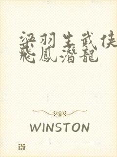 梁羽生武侠小说飞凤潜龙封面