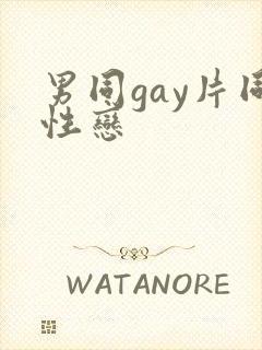 男同gay片同性恋封面