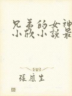 兄弟的女神女友小欣小说最新章节更