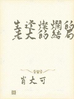 生逢灿烂的日子老大的结局