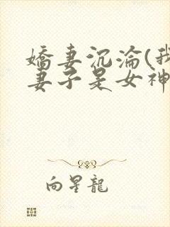 娇妻沉沦(我的妻子是女神封面