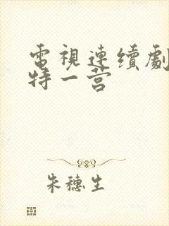 电视连续剧我的特一营