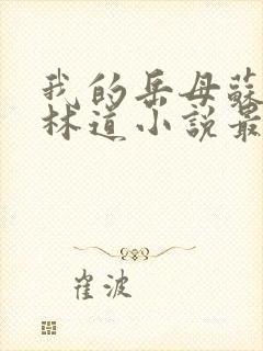 我的岳母苏沛真林道小说最新章节