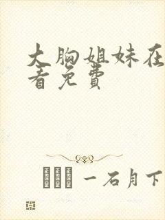 大胸姐妹在线观看免费封面