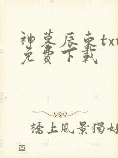 神墓辰东txt免费下载
