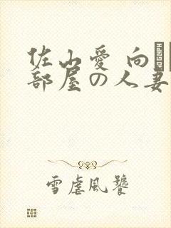 佐山爱 向かい部屋の人妻在线