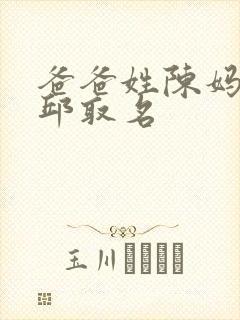 爸爸姓陈妈妈姓邱取名封面