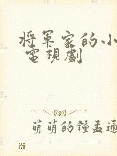 将军家的小娘子 电视剧