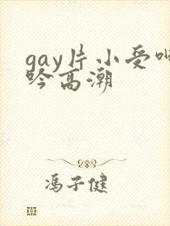gay片小受呻吟高潮