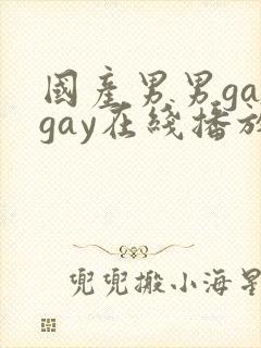 国产男男gaygay在线播放