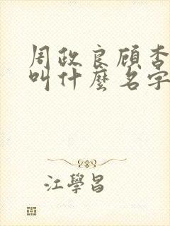 周政良顾杳小说叫什么名字啊