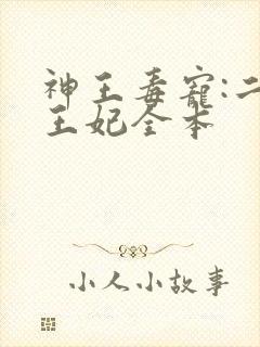 神王毒宠:二嫁王妃全本