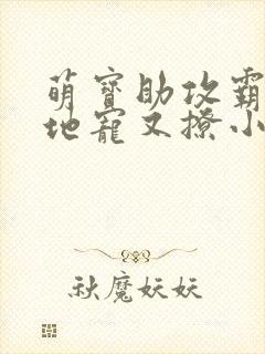 萌宝助攻霸道爹地宠又撩小说免费阅读