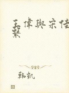 王伟与宋佳的关系