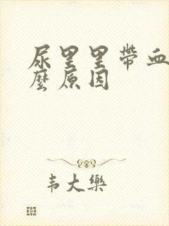 尿里里带血是什么原因