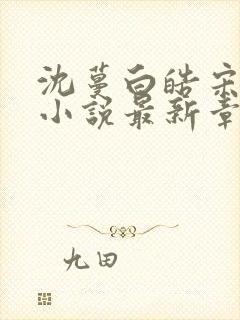 沈蔓白皓宋微微小说最新章节更新内容