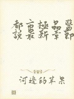 都市极品医神小说最新章节阅读