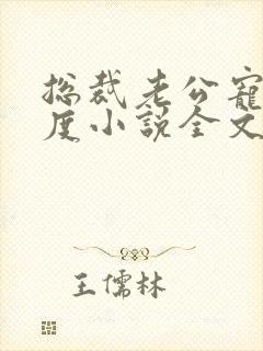 总裁老公宠妻无度小说全文免费