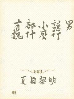 有部小说男主叫魏什么行