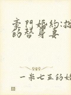 豪门婚约:总裁的替身妻封面