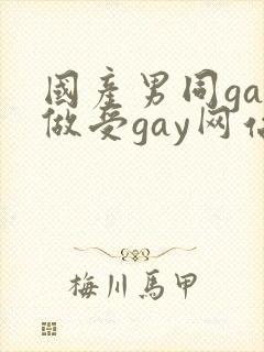 国产男同gay做受gay网站