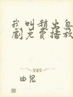 我叫赵出息电视剧免费播放封面