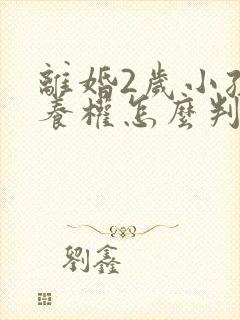 离婚2岁小孩抚养权怎么判定封面