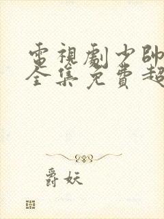 电视剧少帅48全集免费超清