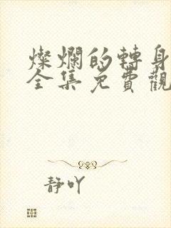 灿烂的转身短剧全集免费观看封面