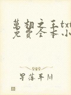 万相之王txt免费全本小说笔趣阁