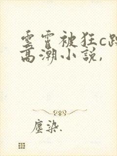 云霄被狂c躁到高潮小说,