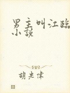 男主叫江临舟的小说