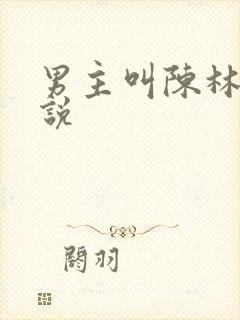 男主叫陈林的小说封面