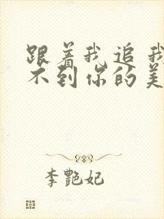 跟着我追 我追不到你的美丽什么歌