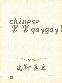 chinese男男gaygay网