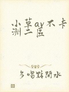 小草av不卡亚洲二区
