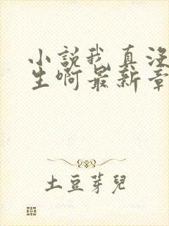 小说我真没想重生啊最新章节列表封面