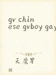 gv chinese gvboy gay tube