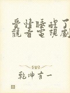 爱情睡醒了免费观看电视剧全集封面