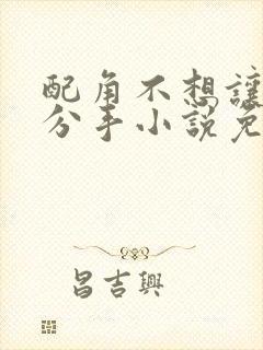 配角不想让主角分手小说免费阅读全文