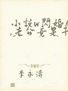 小说w闪婚成宠,老公竟是千亿大佬》