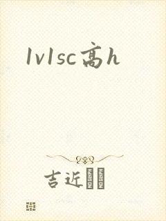 1v1sc高h封面