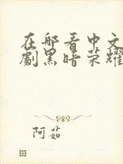 在哪看中文版韩剧黑暗荣耀第二季