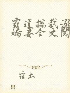 霸道总裁溺宠小娇妻全文阅读封面