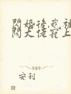 闪婚后,我被财阀大佬宠上天